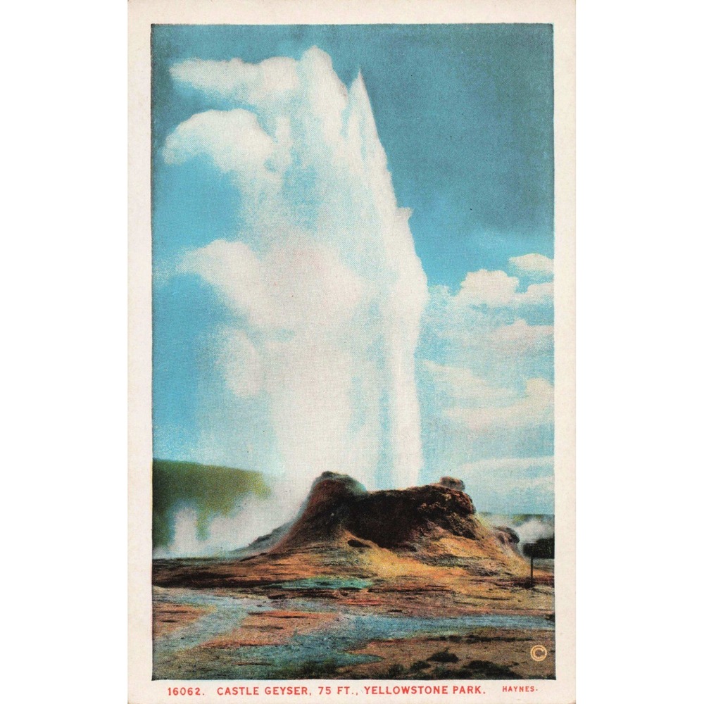 Yellowstone National Park WY Castle Geyser Haynes White Border Postcard 16062